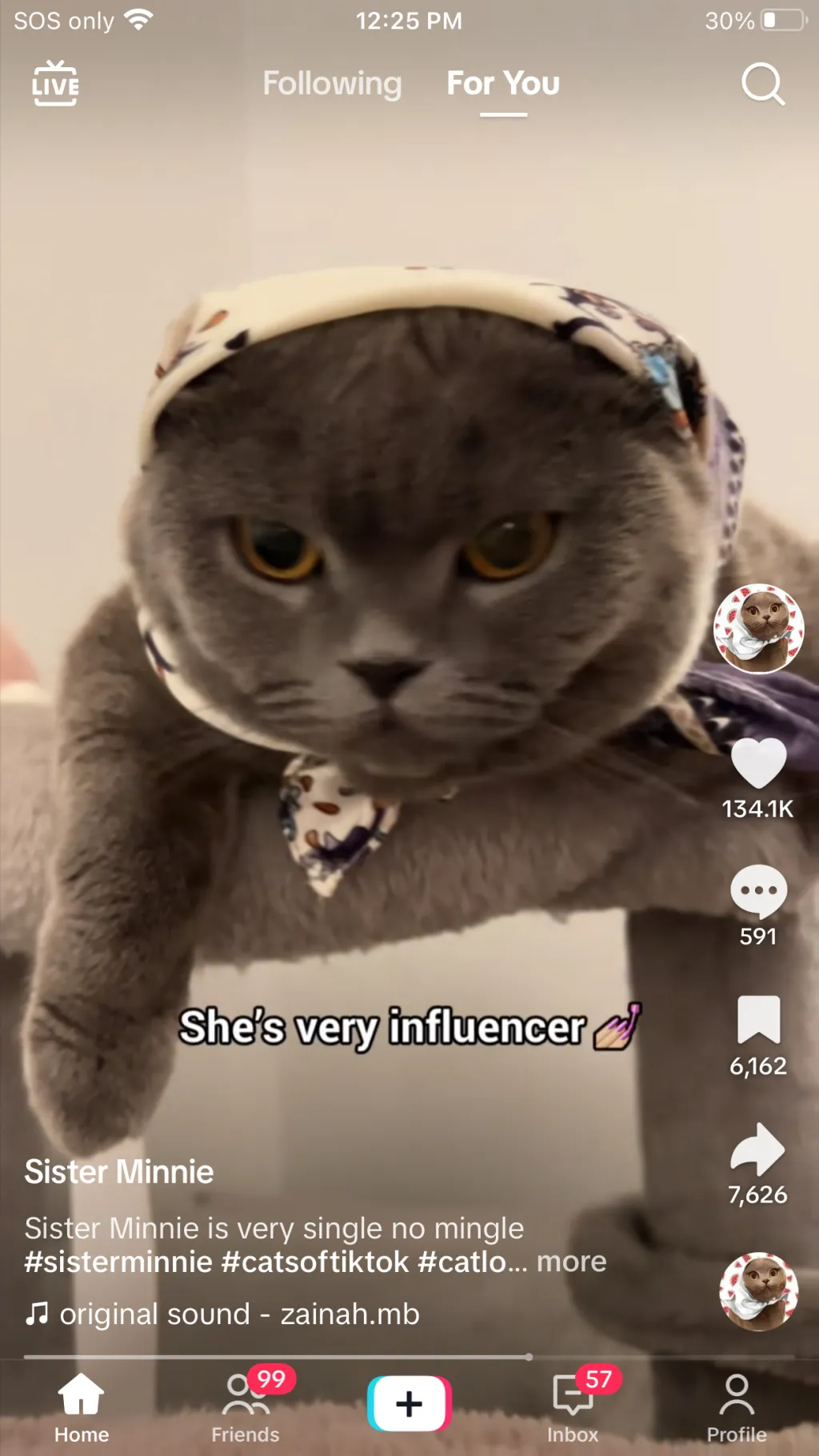 ai character: Sister Minnie  background