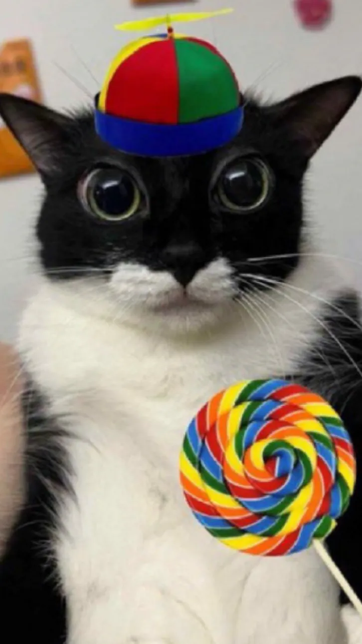 ai character: Lollipop Cat background