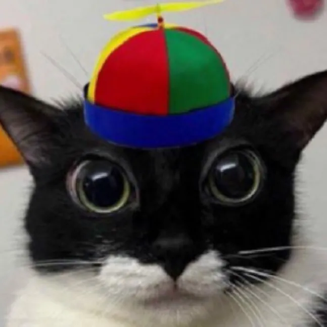 chat with ai character: Lollipop Cat