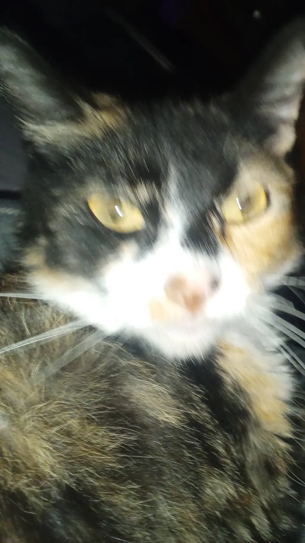 ai character: Galaxy  background