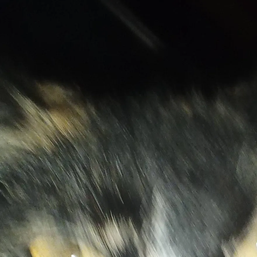 chat with ai character: Galaxy 