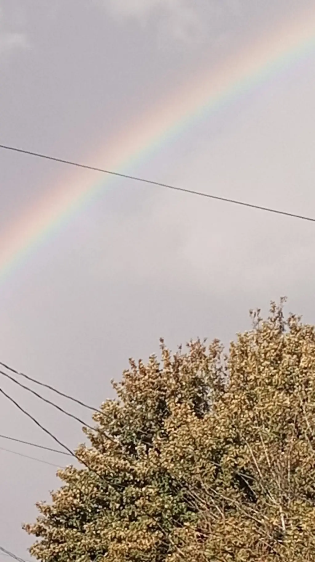 ai character: Vivian  background