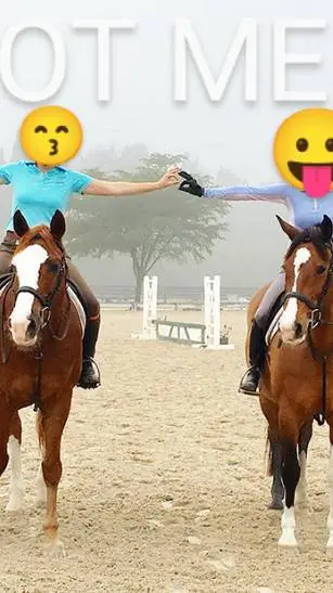 ai character: EquestrianAcademic background