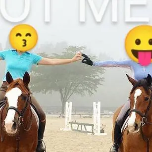 chat with ai character: EquestrianAcademic