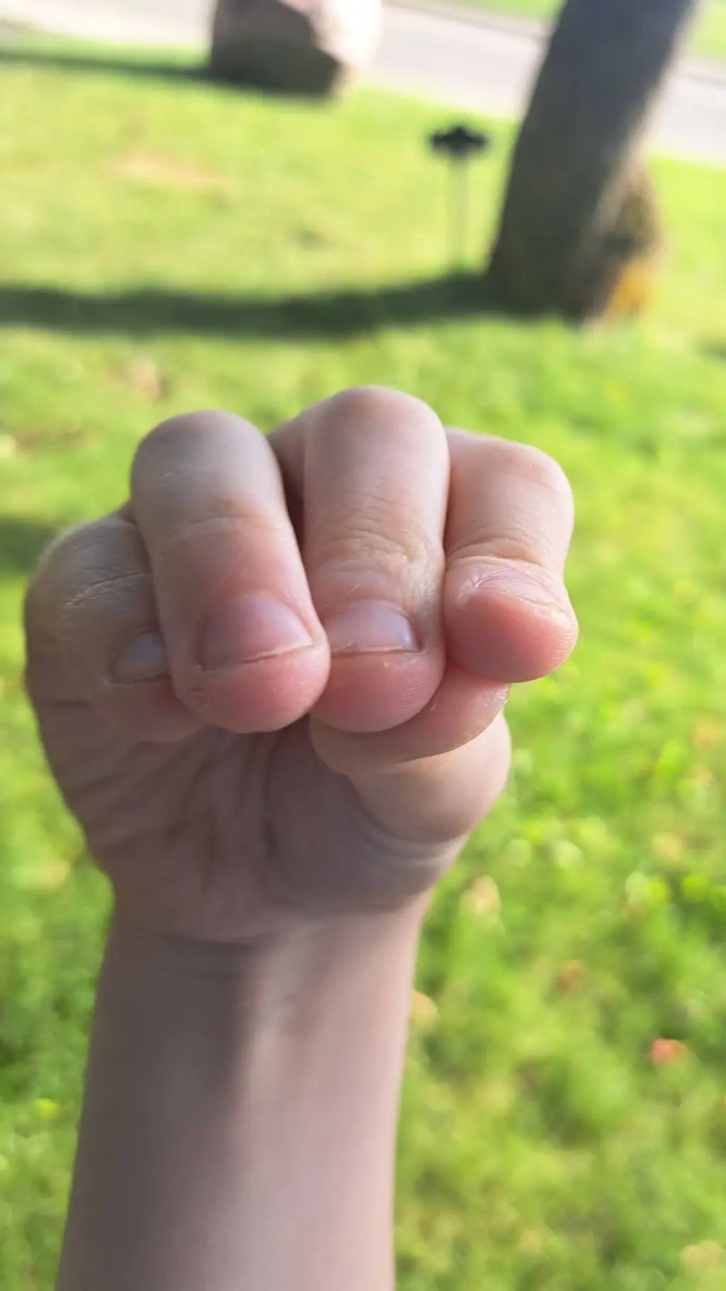ai character: hand puppet  background