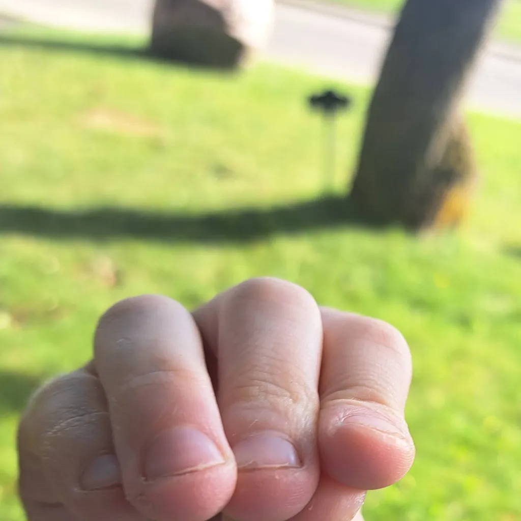 chat with ai character: hand puppet 
