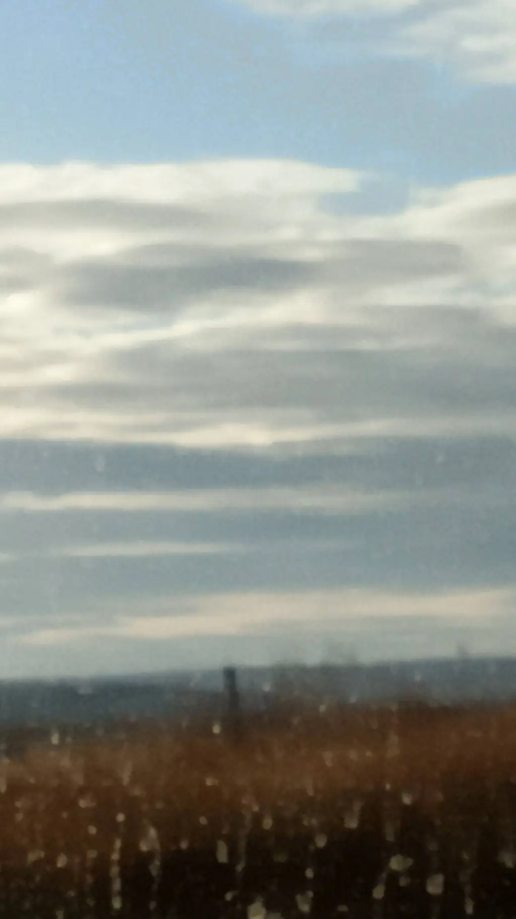 ai character: MD X TLT SONG  background