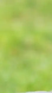 ai character: not again background