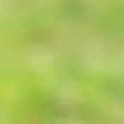 chat with ai character: not again