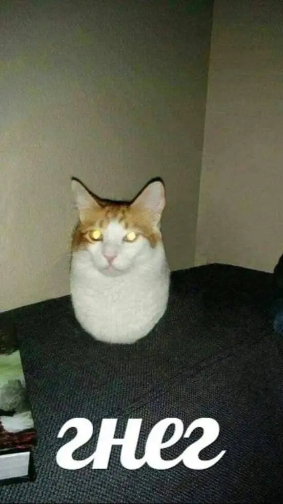 ai character: Gneg (Anniversary) background