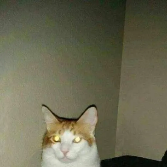 chat with ai character: Gneg (Anniversary)