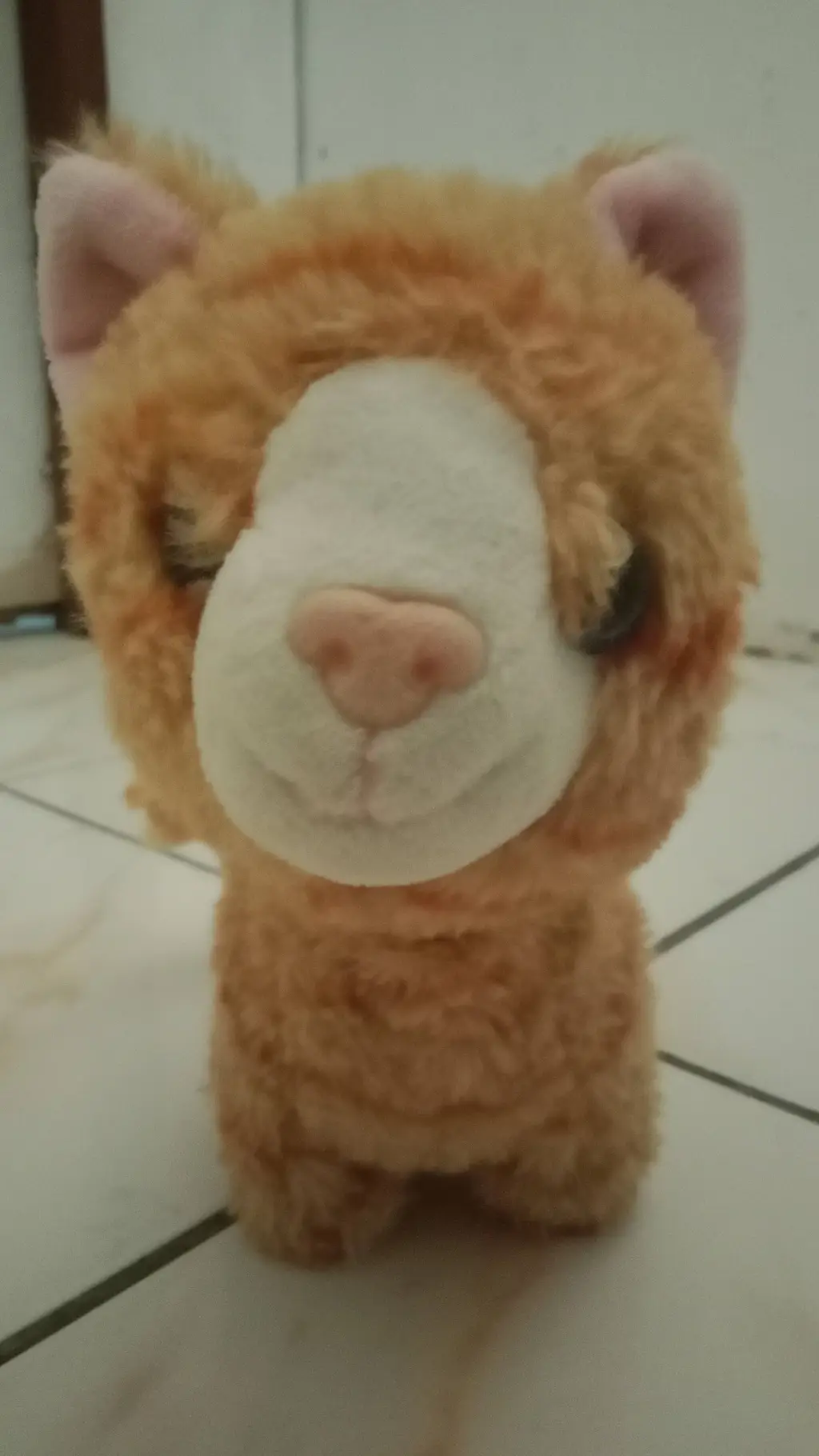 ai character: Cat background