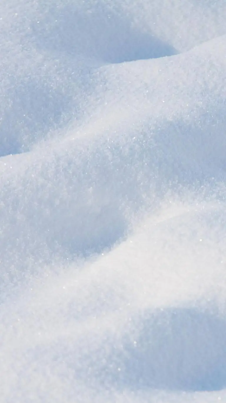 ai character: Snow guy background