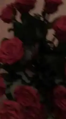 ai character: HH background