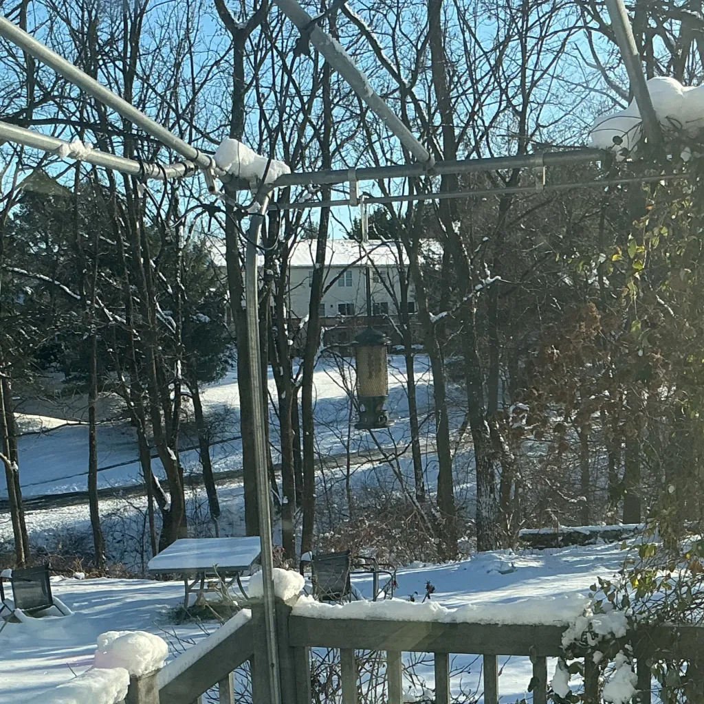 chat with ai character: Wake up