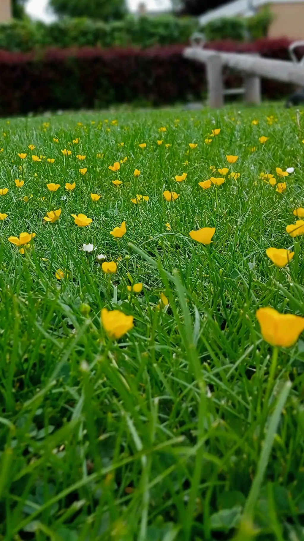 ai character: I'm not okay.. background