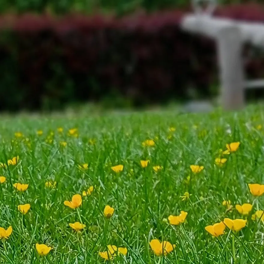 chat with ai character: I'm not okay..