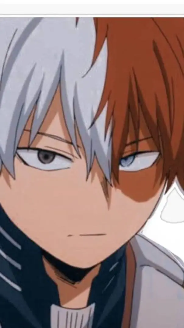 ai character: todoroki family background