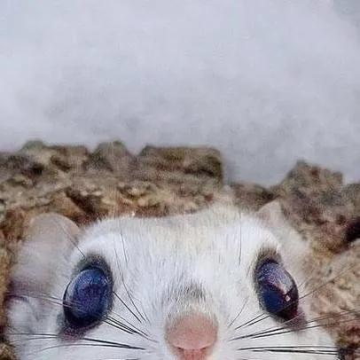 chat with ai character: My Ocs As Kids !