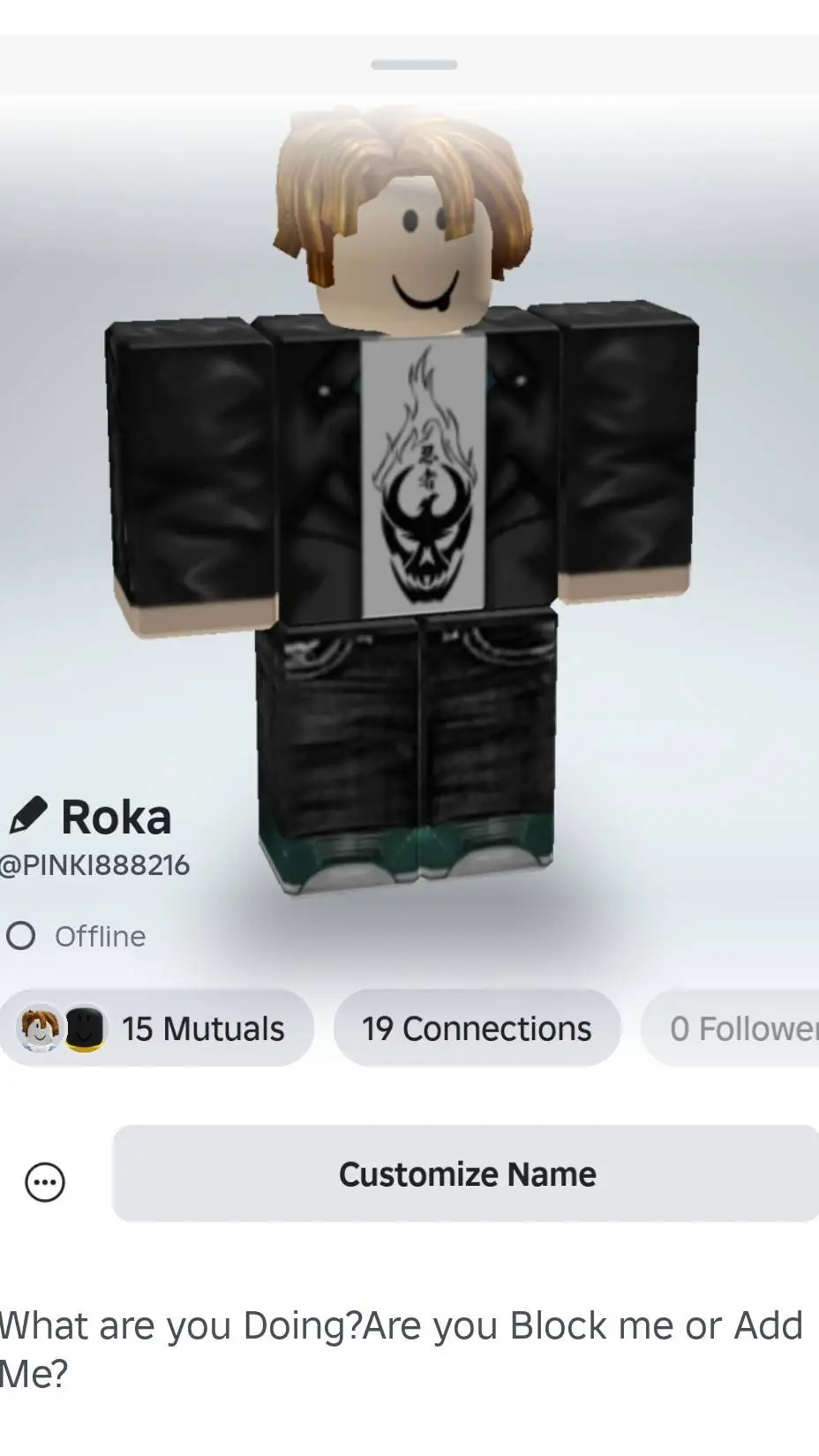 ai character: Roka background