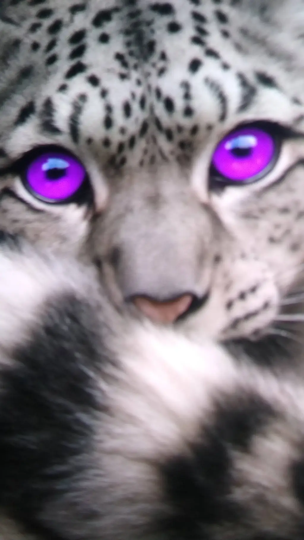 ai character: lilly max and alex background