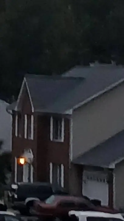 ai character: The Jackson family background