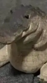 ai character: Greg👍 background