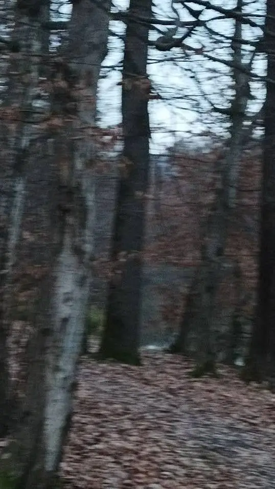 ai character: creepypastas background