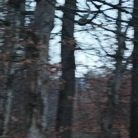 chat with ai character: creepypastas