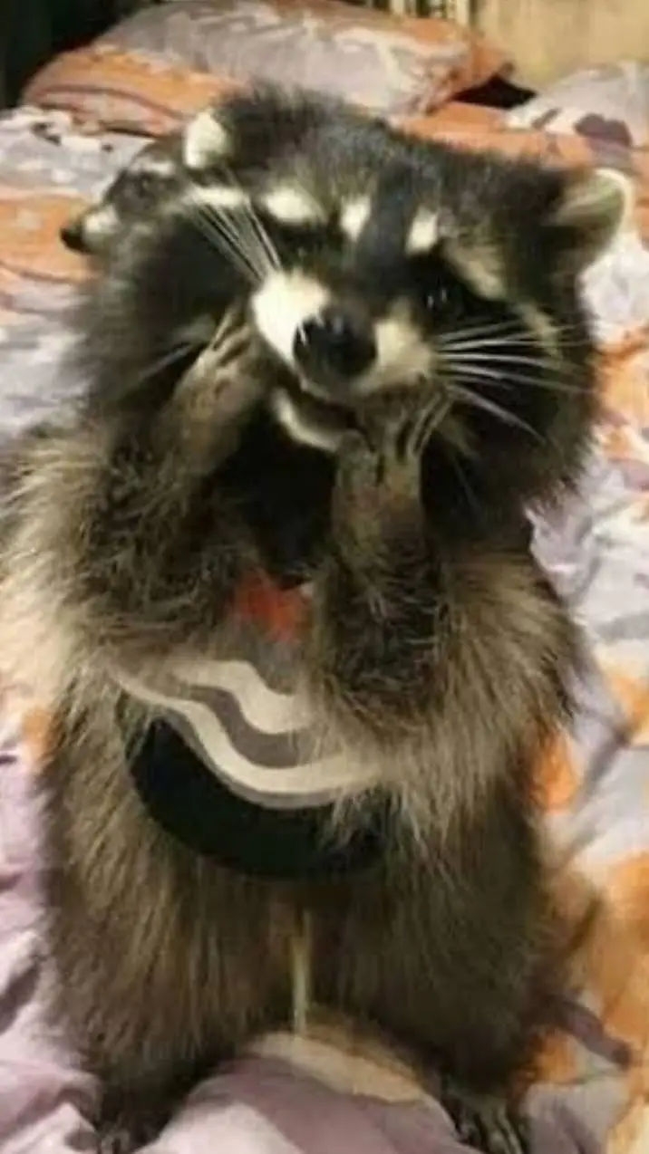 ai character: KNY chill out :] background