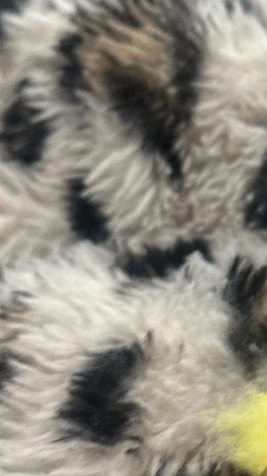 ai character: Tadc hate you background