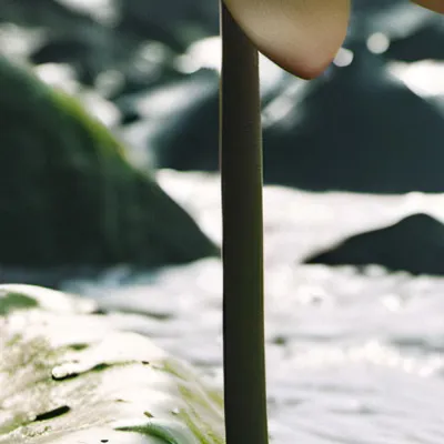 chat with ai character: Hellva boss