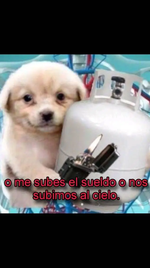 ai character: JJBA parte 3 background