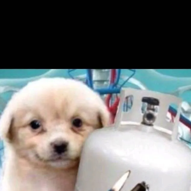 chat with ai character: JJBA parte 3