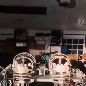 chat with ai character: Citra