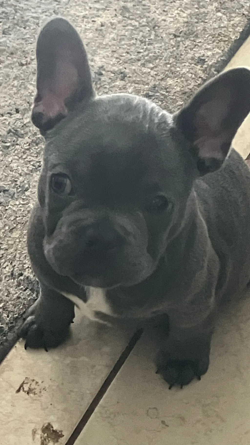 ai character: Family  background