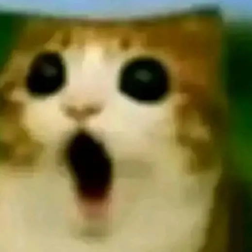 chat with ai character: meowl