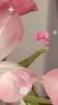 ai character: Manwha Sleepovers background