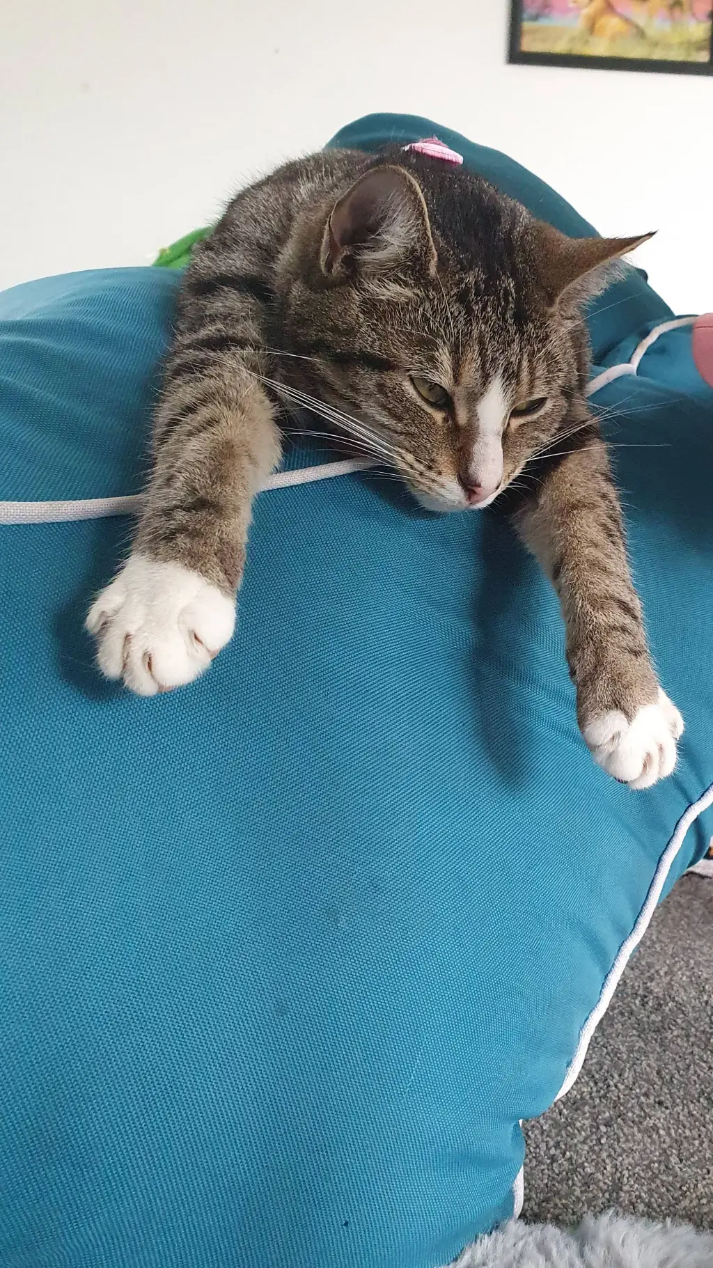 ai character: fpe loves you background