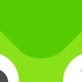 chat with ai character: Duolingo 