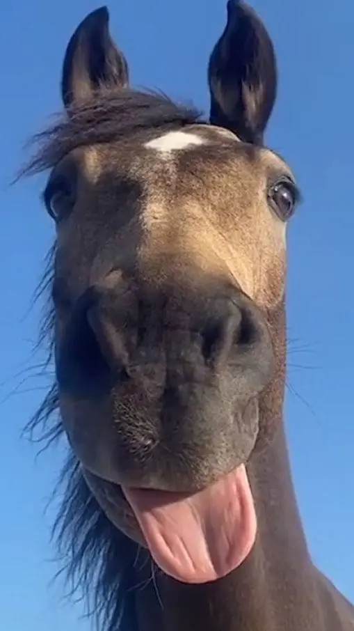 ai character: Uhm background