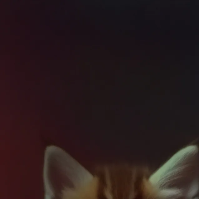 chat with ai character: Kitten