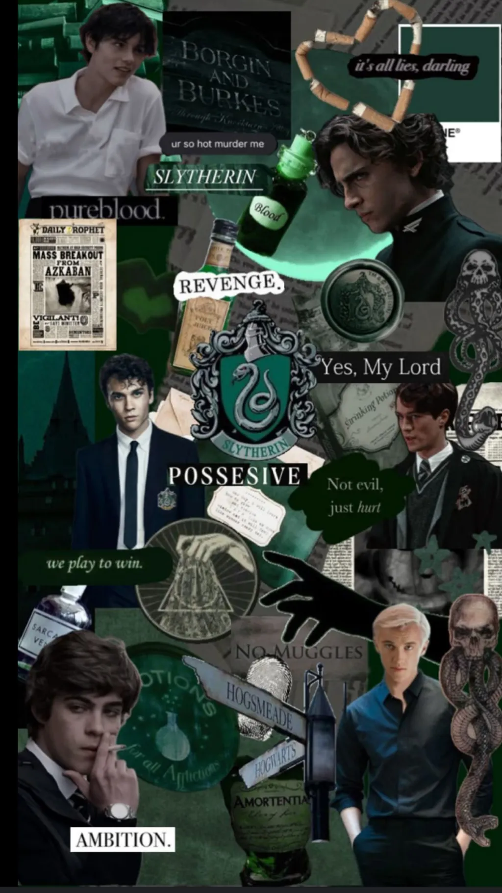 ai character: Slytherin boys 💚 background