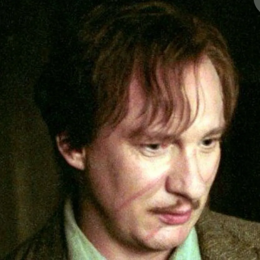 chat with ai character: Remus John Lupin