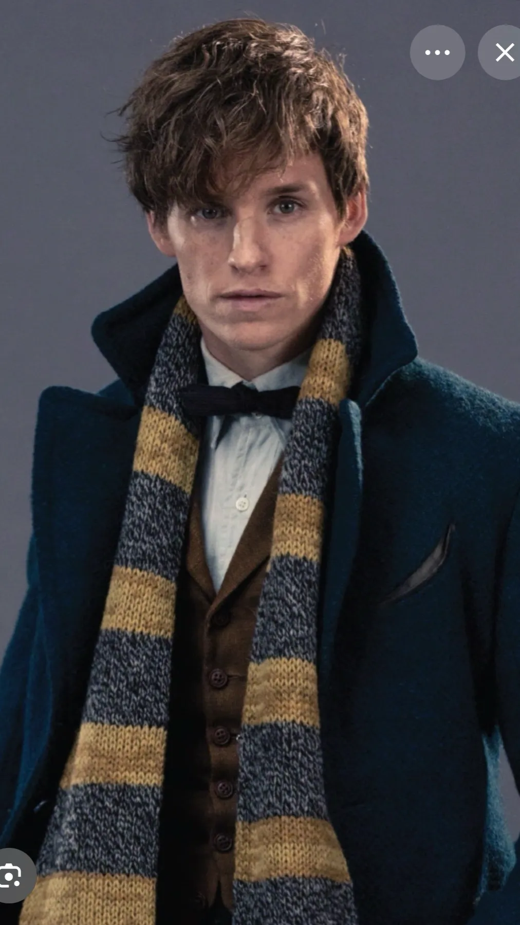 ai character: Newt Scamander background