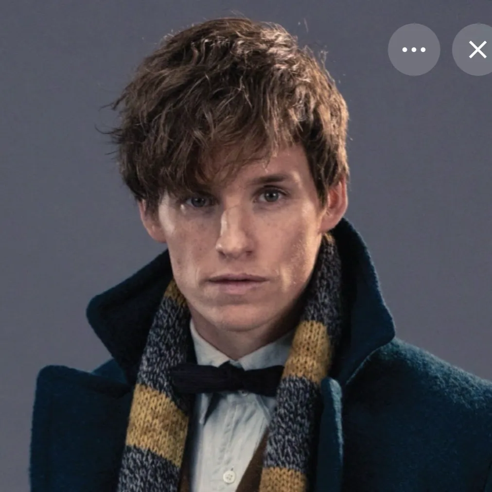chat with ai character: Newt Scamander
