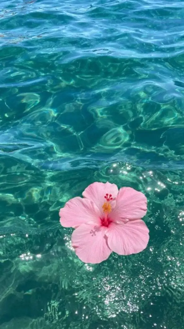 ai character: Hyunjin  background