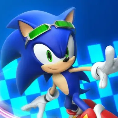 chat with ai character: Extreme Gear Sonic