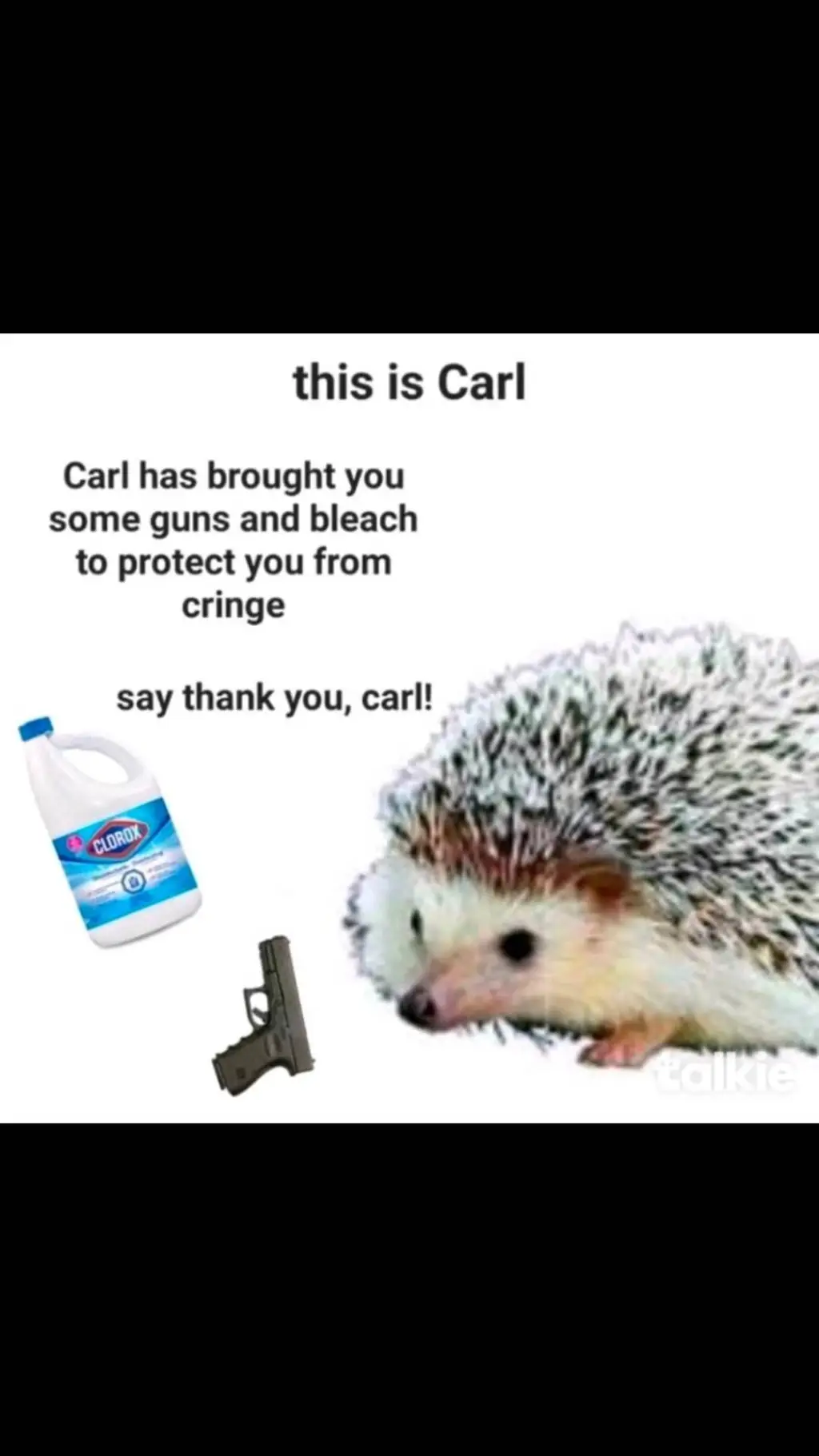 ai character: Carl background