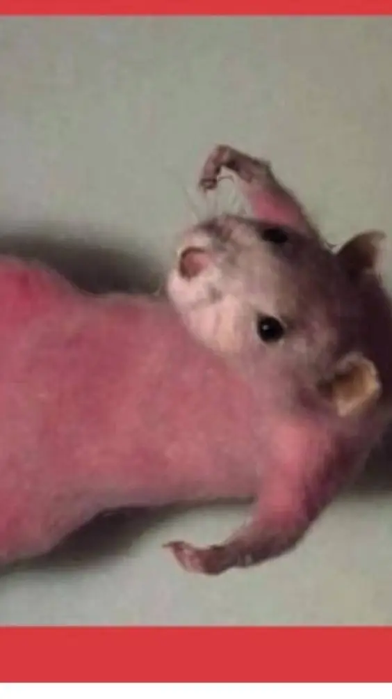 ai character: New nightmare background